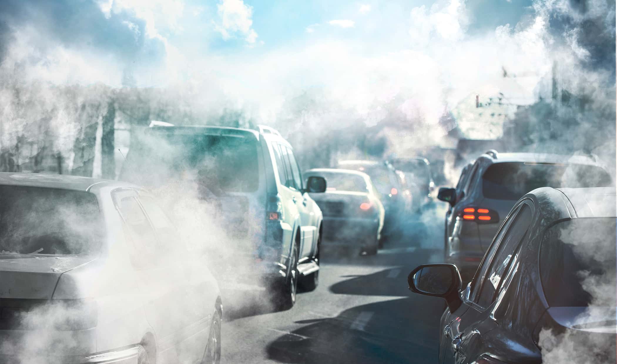 www.auto-motor-und-sport.de