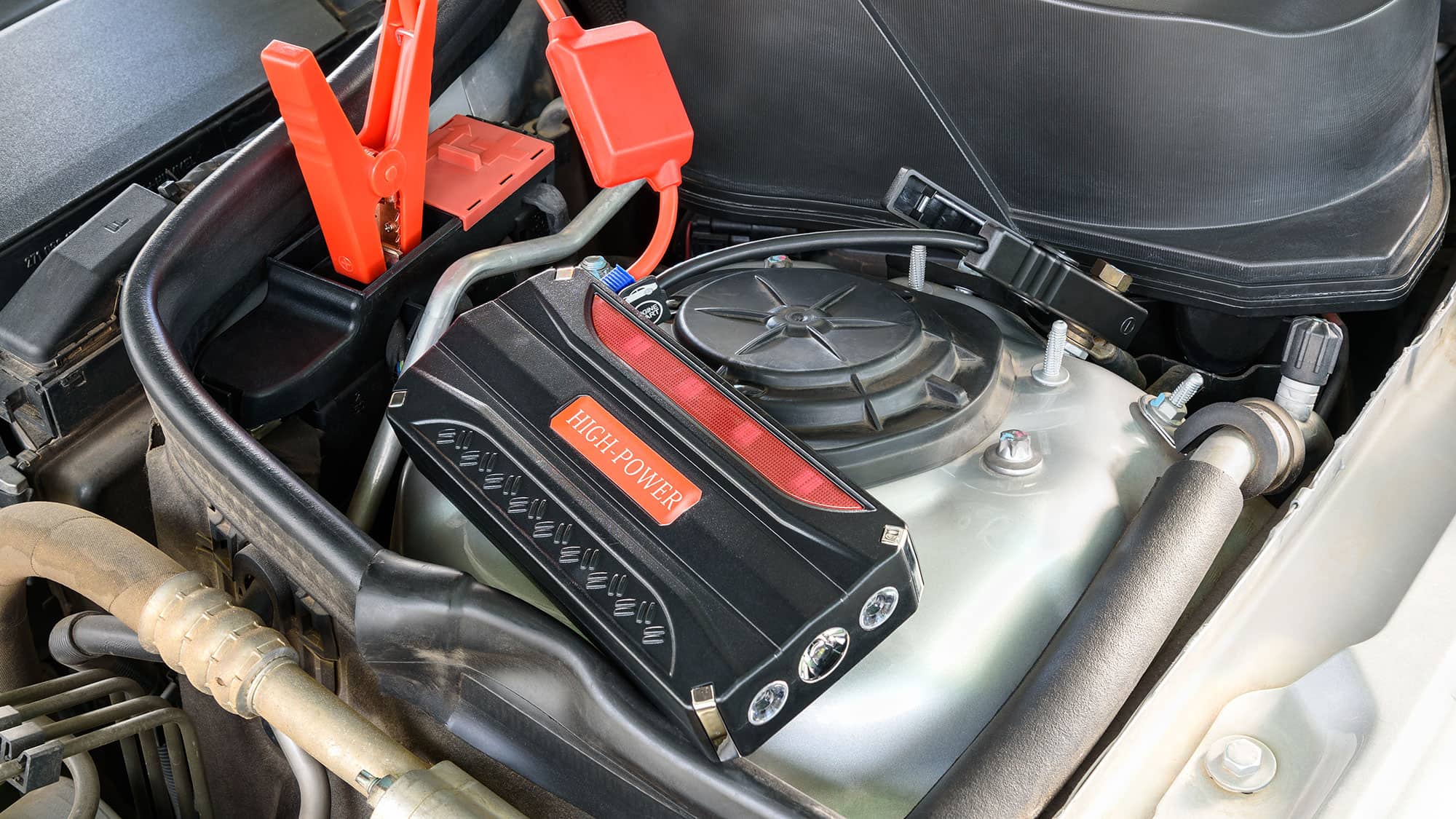 www.auto-motor-und-sport.de
