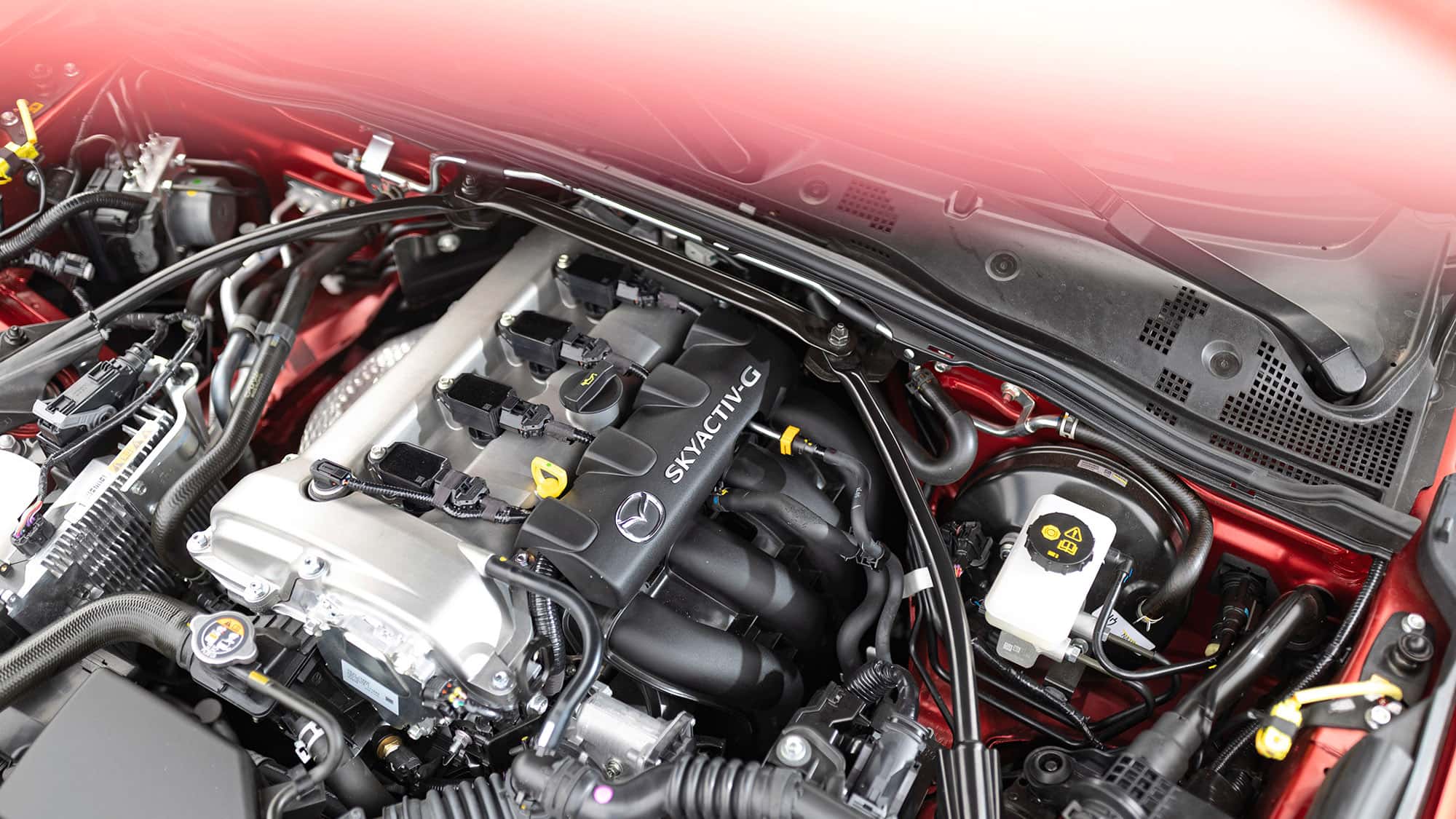 Ger-chte-zum-Mazda-MX-5-NE-5-Generation-N-chster-MX-5-ist-wohl-der-letzte-mit-Verbrenner