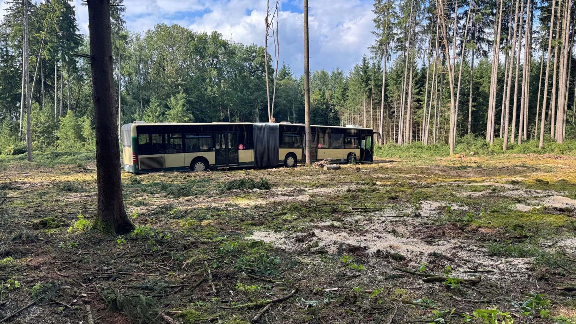 Gelenkbus-nach-Navi-Fail-auf-Abwegen-Ich-glaub-ich-steh-im-Wald-