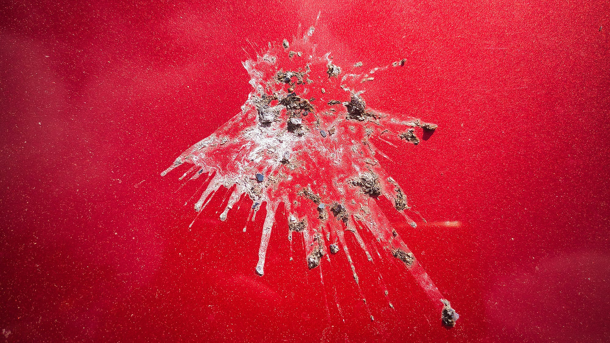 Vogelkot-auf-dem-Auto-Diese-Lackfarben-bevorzugen-V-gel