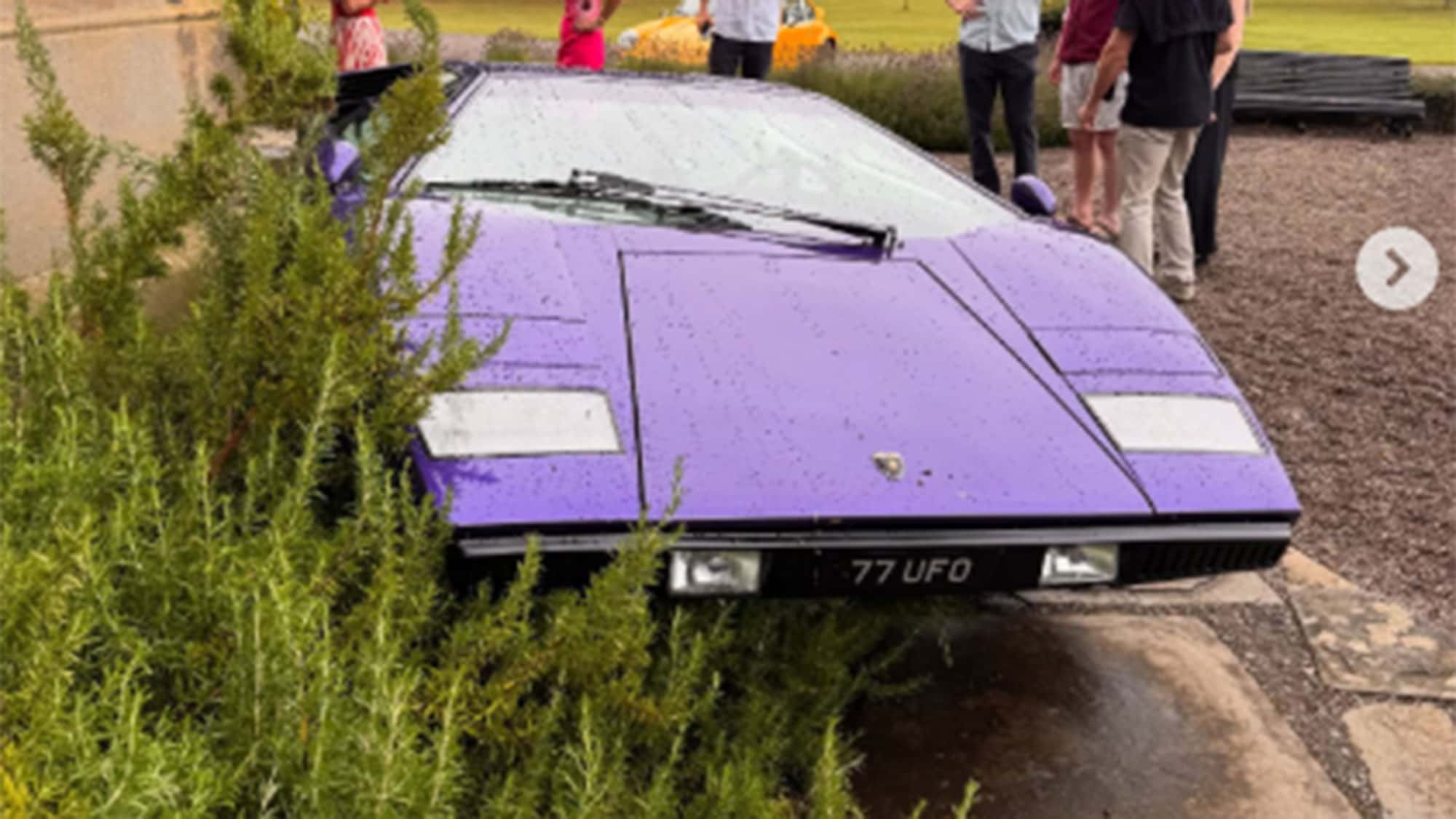 Lamborghini-Countach-Fail-auf-Instagram-Wie-kommt-der-lila-Countach-in-den-Strauch-