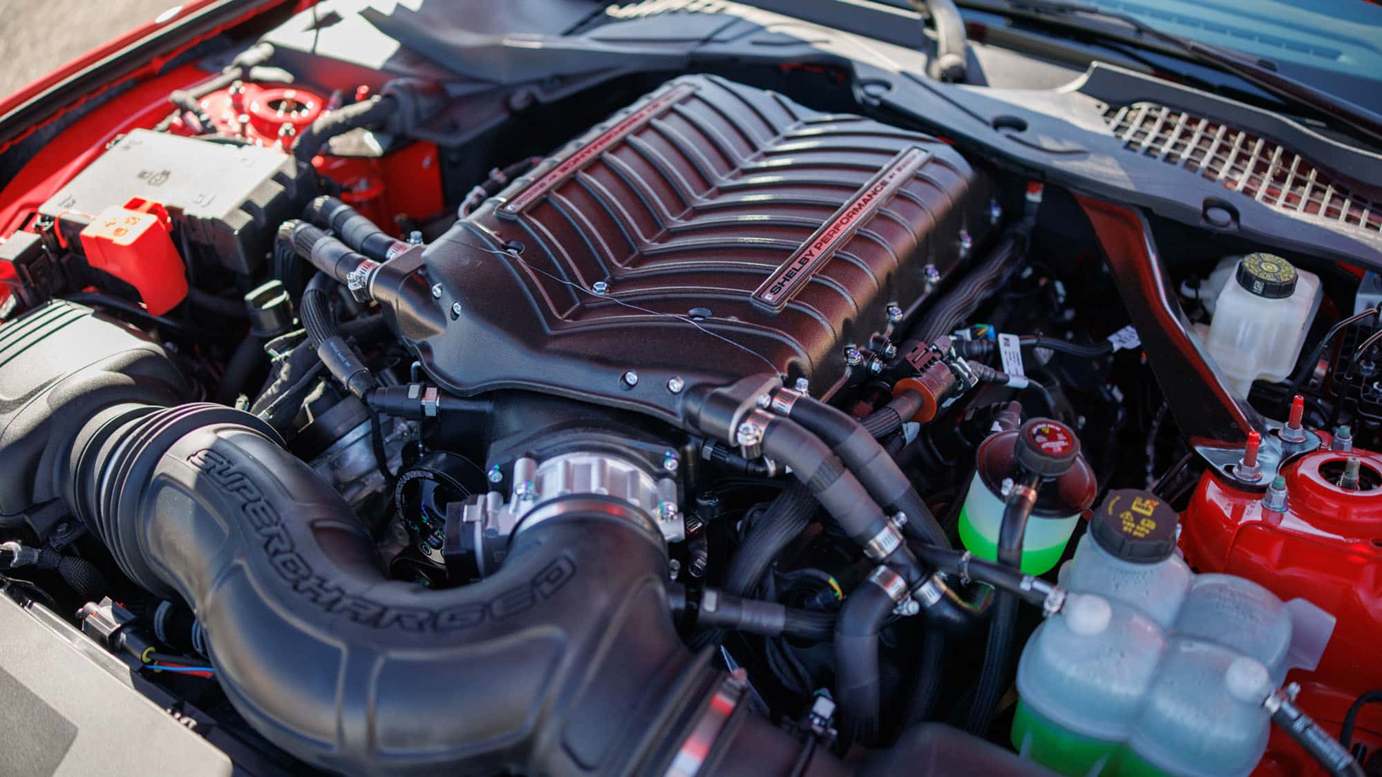 Shelby-GT350-Cabrio-Technik-im-Vergleich-Fahrdynamik-und-berrollschutz