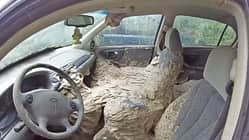 Chevroleet Malibu Wespennest