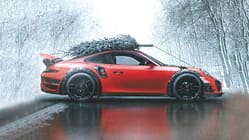 Weihnachtsbaumtransport