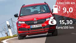 Skoda Karoq 2.0 TSI 4x4 Sportline Realverbrauch