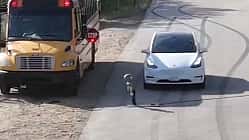Warnung von The Dawn Project vor Tesla-Robotaxis