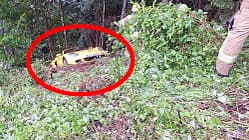 Porsche Carrera GT Rettungsaktion Alpen Österreich Strobl Feuerwehr