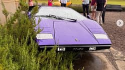 Lamborghini Countach im Busch