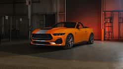 Shelby GT350 Cabrio und Fastback 