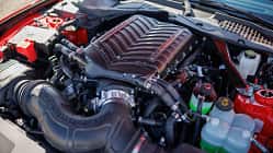 Shelby GT350 Cabrio und Fastback 