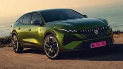 01/2026, Peugeot rosa Kennzeichen Peugeot rosa Kennzeichen