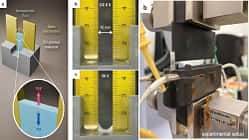 Institut für Naturwissenschaften Tokio Institut für Naturwissenschaften Tokio