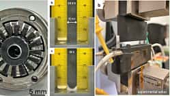  Institut für Naturwissenschaften Tokio