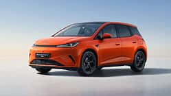 BYD Dolphin G DM-i Super-Hybrid
