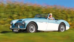 Austin-Healey 100/6 BN6, Seitenansicht