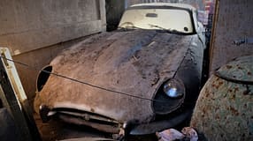 Jaguar E-Type Scheunenfund