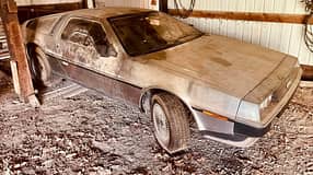 DeLorean-Scheunenfund