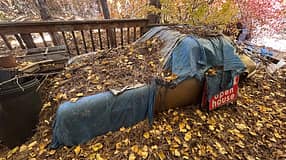 Porsche 911 E Targa unter Kiefernzapfen begraben