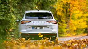 Heckansicht eines weißen Skoda Enyaq RS 79 kWh auf einer herbstlichen Straße, umgeben von buntem Laub.
