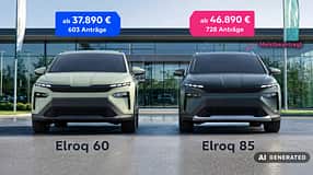 Skoda Elroq Vergleich BAFA-Förderstatistik Basis- vs. Topmodell