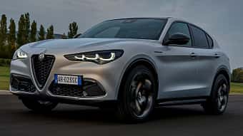 Alfa Romeo Stelvio FL 2023 Markenbaum