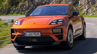 Porsche Macan 2024 Markenbaum