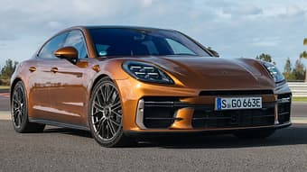 Porsche Panamera 3. Generation 2023 Markenbaum