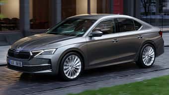 Skoda_Octavia_FL_2024_Markenbaum