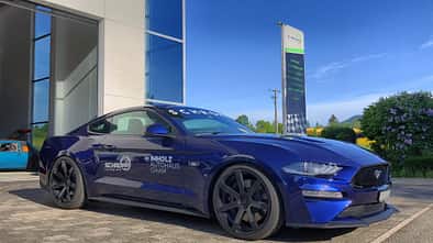 Ford Mustang Schropp