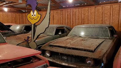 Coyote Johnson Muscle-Car-Sammlung