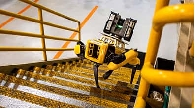 Fluffy Roborterhund Ford Boston Dynamics