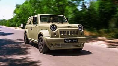 Wallyscar Iris