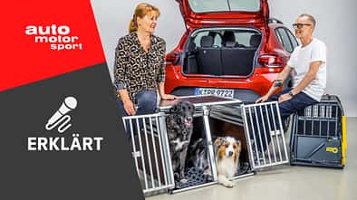 AMS_ERKLÄRT-Podcast EP35-Auto-und-Hund-Aufmacher AMS_ERKLÄRT-EP35-Auto-und-Hund-Aufmacher
