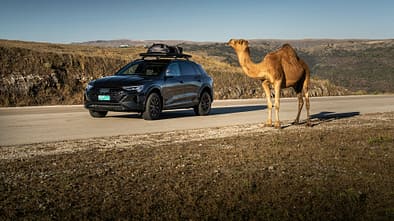 Audi Q8 E-Tron edition Dakar