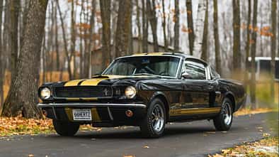 Ford Mustang Shelby GT 350 H in Autovermietung Hertz Lackierung