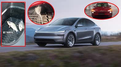 Tesla Model Y Facelift Project Juniper Gaga Features