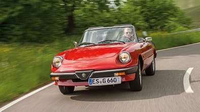 Alfa Romeo Spider Gummilippe