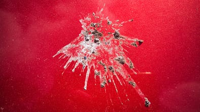 Vogelscheiße Vogelkacke Möwe Seemöve roter Autolack