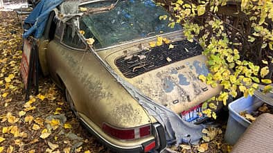 Porsche 911 E Targa unter Kiefernzapfen begraben