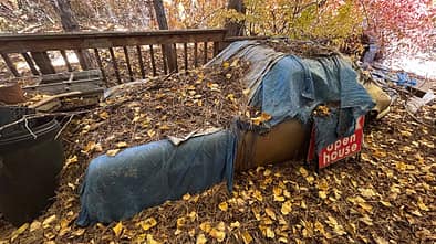 Porsche 911 E Targa unter Kiefernzapfen begraben