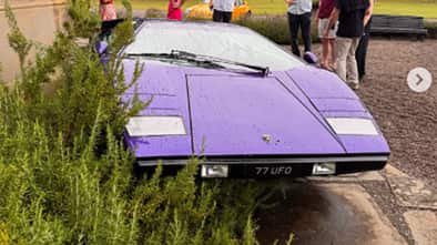 Lamborghini Countach im Busch