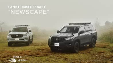 Toyota Land Cruiser Prado 150/Lexus GX 