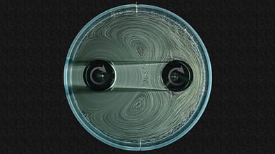 Getriebe ohne Zahnräder