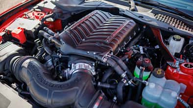 Shelby GT350 Cabrio und Fastback 