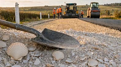 Eine Straßenbaustelle in der Froschperspektive. Vorne eine Schaufel die auf einem Haufen weißen Muschelpulver liegt, teilweise sind noch Jacobsmuscheln zu erkennen. Im Hintergrund asphaltieren Bauarbeiter eine Straße.