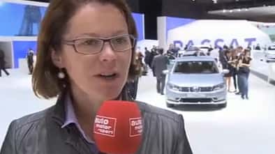 Birgit Priemer VW Passat Screenshot