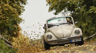 Memminger- VW Käfer, Front