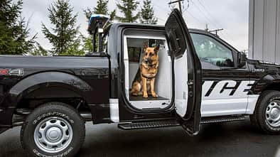 Ford F-150 Special Service Vehicle Polizei-Pickup