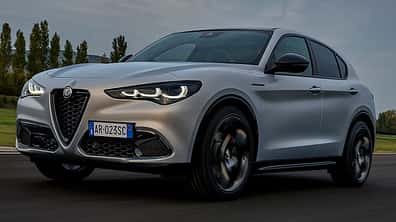 Alfa Romeo Stelvio FL 2023 Markenbaum